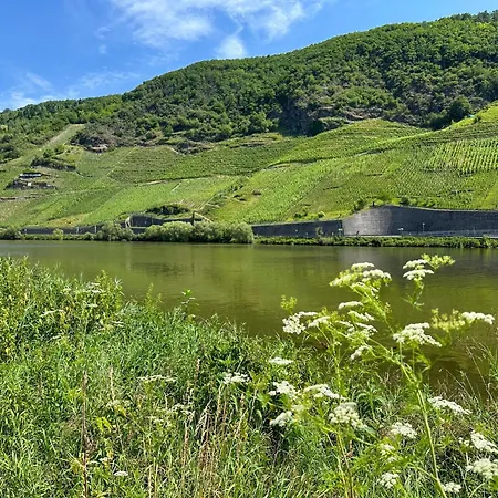 Ferienweingut Emmerich Traben-Trarbach