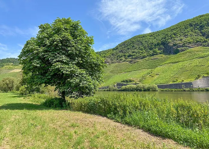 アパート Ferienweingut Emmerich