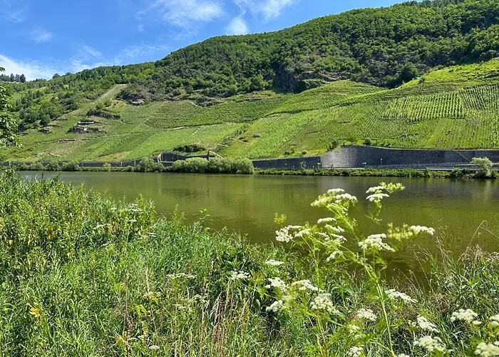 Ferienweingut Emmerich トラーベン・トラールバッハ